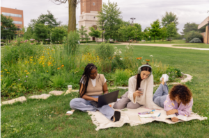 Read more about the article CoDE Social Justice Scholarship Fund